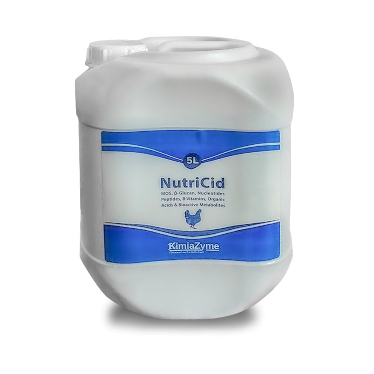 مکمل نوتریسید مخصوص طیور پخش ایده پرداز طیور