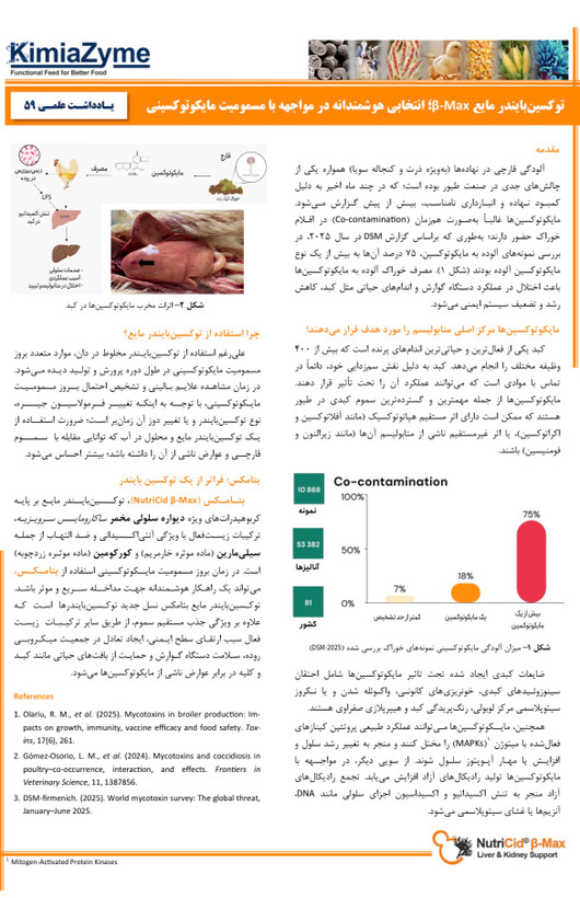 نوتریسید بتامکس